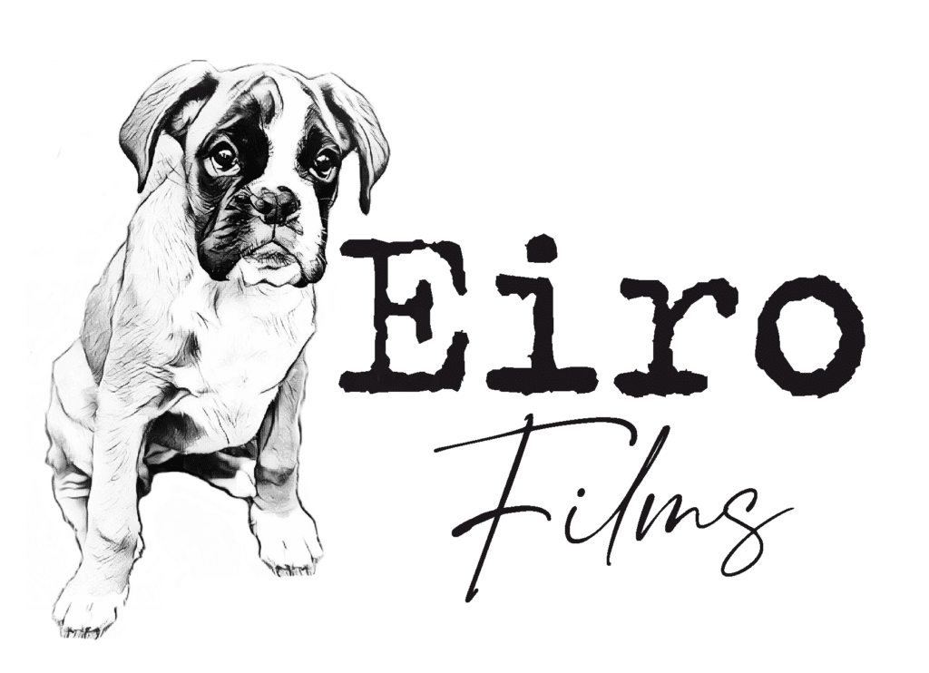 LOGO OFICIAL_EIRO FILMS-01